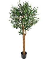 Det konstgjorda olivträdet UV 155 cm är en Easyplants konstgjord växt i kruka med en hög brun stam, täta gröna blad och små svarta oliver, elegant mot en vanlig vit bakgrund.