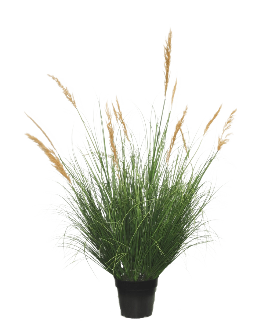 En konstgräsväxt struts 120 cm märkesfördröjande, med långa gröna blad och höga gyllene plymer, mot en vanlig vit bakgrund.