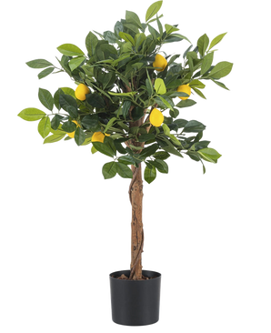 Det konstgjorda citronträdet 75 cm är ett litet konstgjort citronträd med brun stam, gröna blad och flera gula falska citroner mot en vanlig vit bakgrund.
