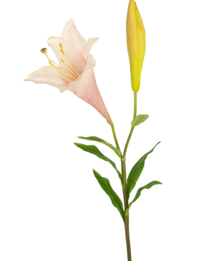 Artificiell blomma exotisk lilja 74 cm rosa har en enda stjälk med en blommande ljusrosa lilja och en sluten gul knopp, omgiven av smala gröna blad, mot en vit bakgrund.