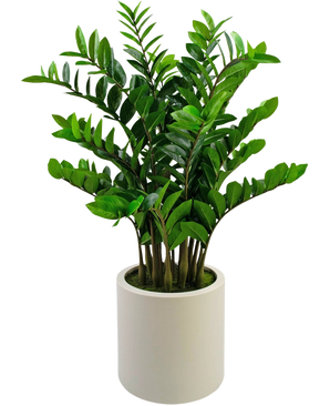 Den färdiga konstgjorda växten Zamioculcas, 120 cm hög med glänsande gröna blad, står upprätt i en enkel beige kruka mot en vanlig vit bakgrund.