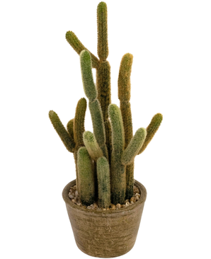Artificiell kaktus Cereus 35 cm har flera långa, fluffiga gröna och bruna stjälkar som växer uppåt i olika riktningar, i en rund kruka med struktur och dekorativa stenar.