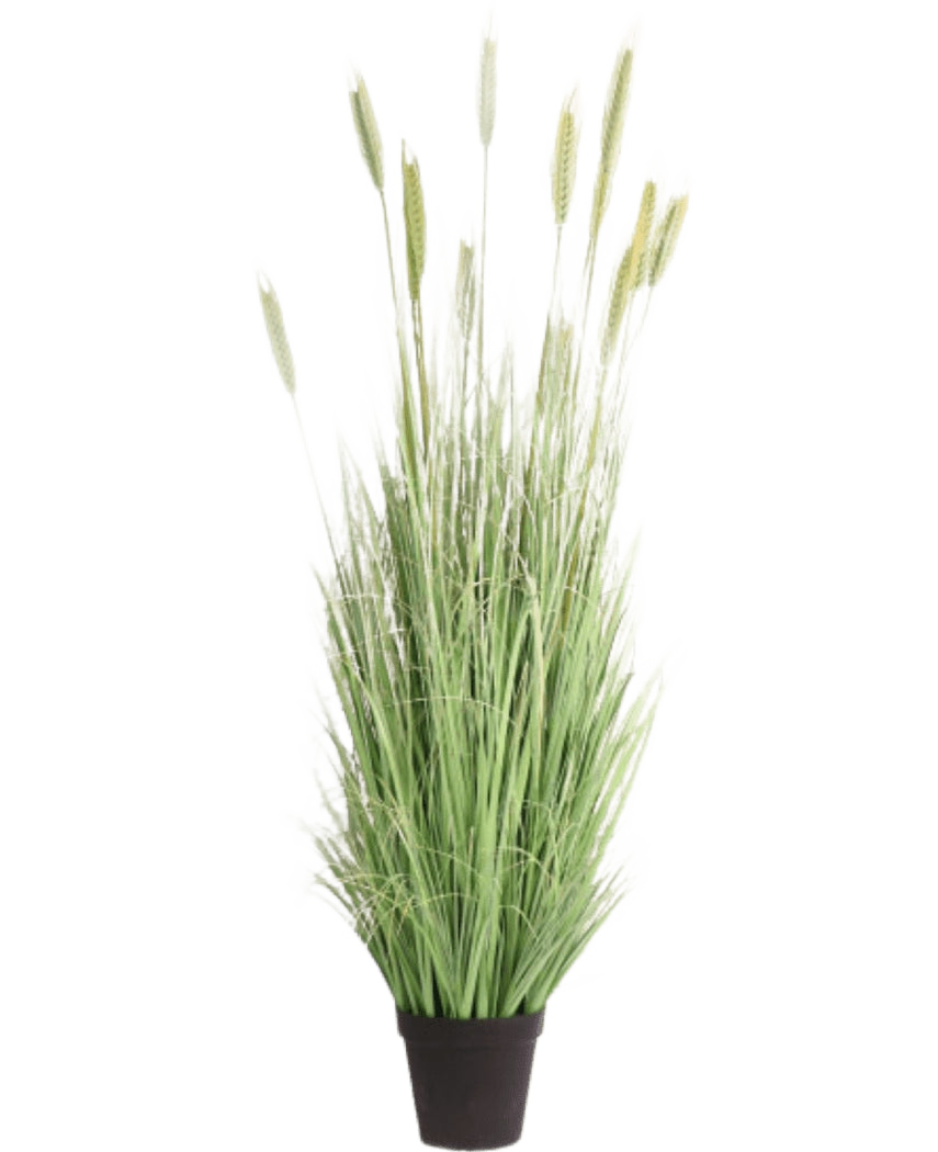 Konstgräsväxten Grön 180 cm brandskyddsmedel har långa, smala gröna blad och veteliknande öron i en svart kruka - perfekt för snygg inredning och extra säkerhet.