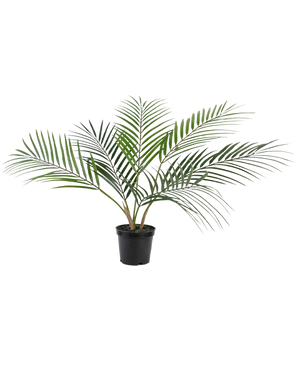 Artificiell palm Chamaedorea 48 cm har långa, smala gröna blad som sprids utåt och kommer i en enkel svart plastkruka mot en vanlig vit bakgrund.