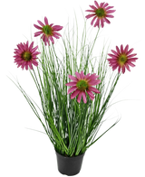 Konstgräsväxten Chrysanthemum 60 cm brandskyddsmedel har långa, tunna gröna gräsliknande blad och sex rosa krysantemumblommor med ett gult hjärta i en svart kruka, mot en vanlig vit bakgrund.