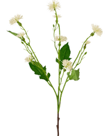 Artificiell blomma Daisy Spray 54 cm vit ray har en enda grön stjälk med grenade klasar av små, vita tusensköna-liknande blommor och oregelbundna gröna blad, mot en vanlig vit bakgrund.