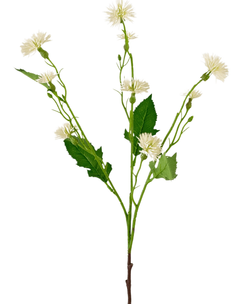 Artificiell blomma Daisy Spray 54 cm vit ray har en enda grön stjälk med grenade klasar av små, vita tusensköna-liknande blommor och oregelbundna gröna blad, mot en vanlig vit bakgrund.