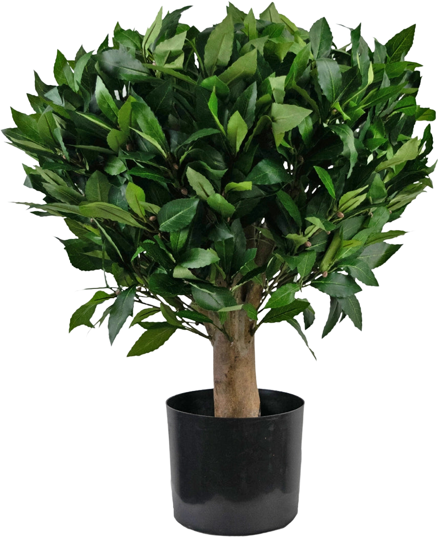 Plantan Artificiell lager UV d65 cm är ett litet konstgjort träd med en tjock stam och täta, glänsande gröna blad i en svart plastkruka mot en vanlig vit bakgrund.