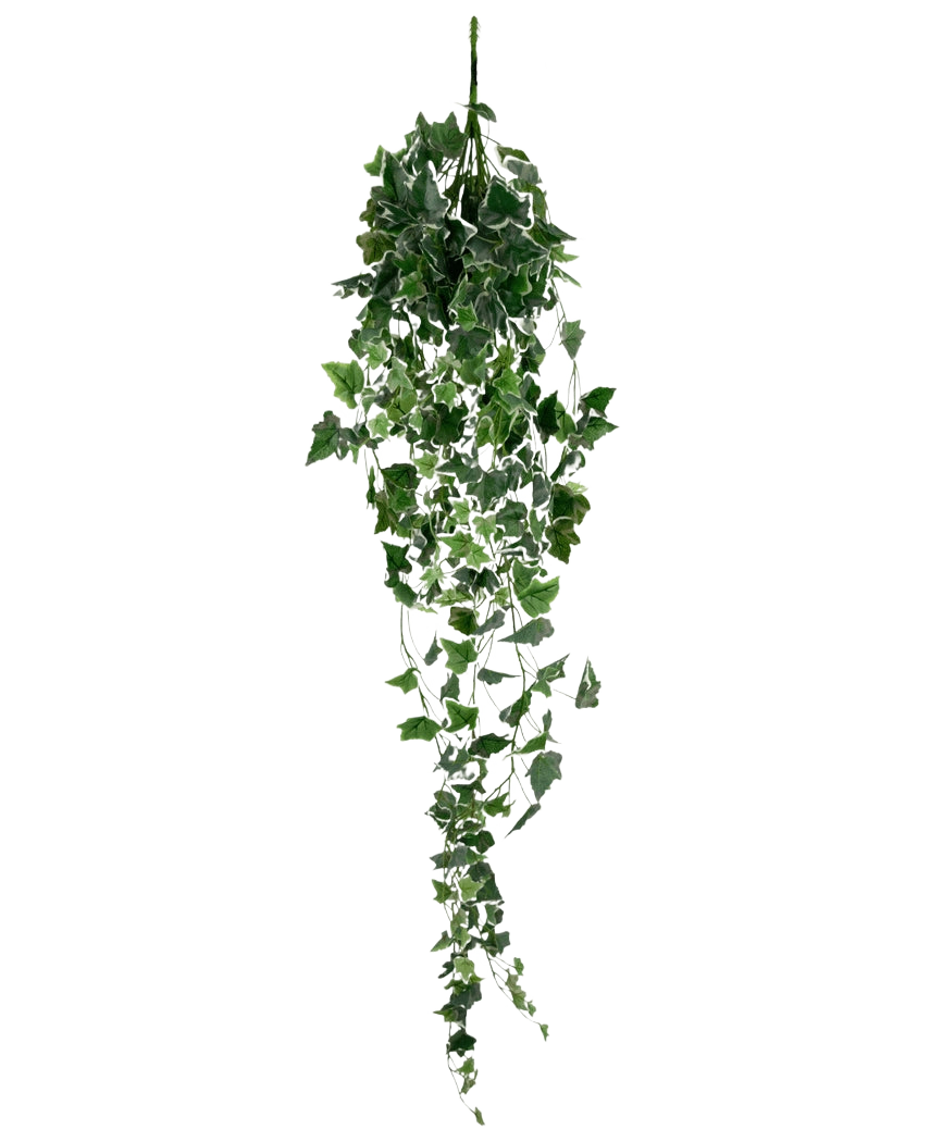 Artificiell murgröna 130 cm grön/vit är en hängande konstgjord murgrönaväxt med långa, släpande gröna blad och vita kanter, avbildad mot en vanlig vit bakgrund.