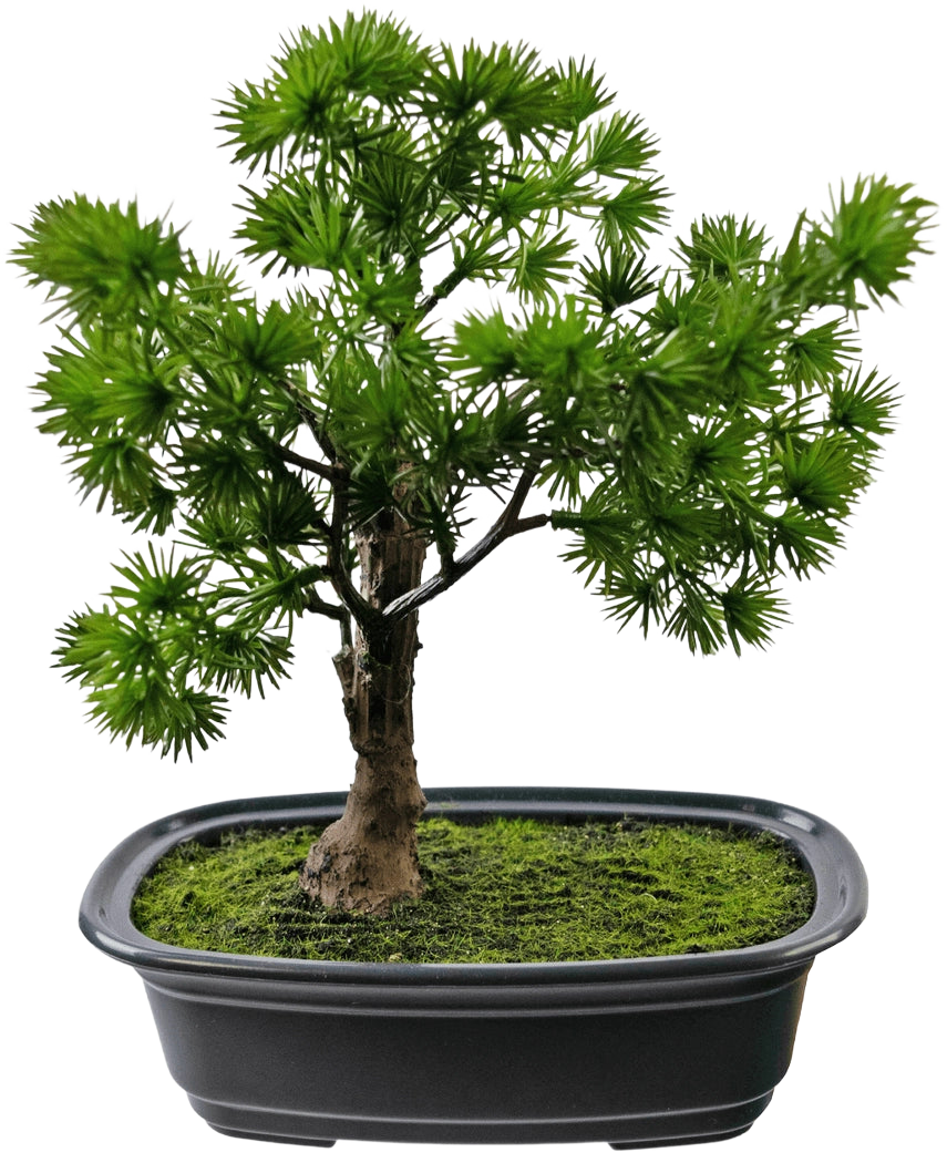 Den konstgjorda växten Bonsai Juniper 20 cm har täta, taggiga gröna blad i en rektangulär svart kruka med mossa, mot en vanlig vit bakgrund.