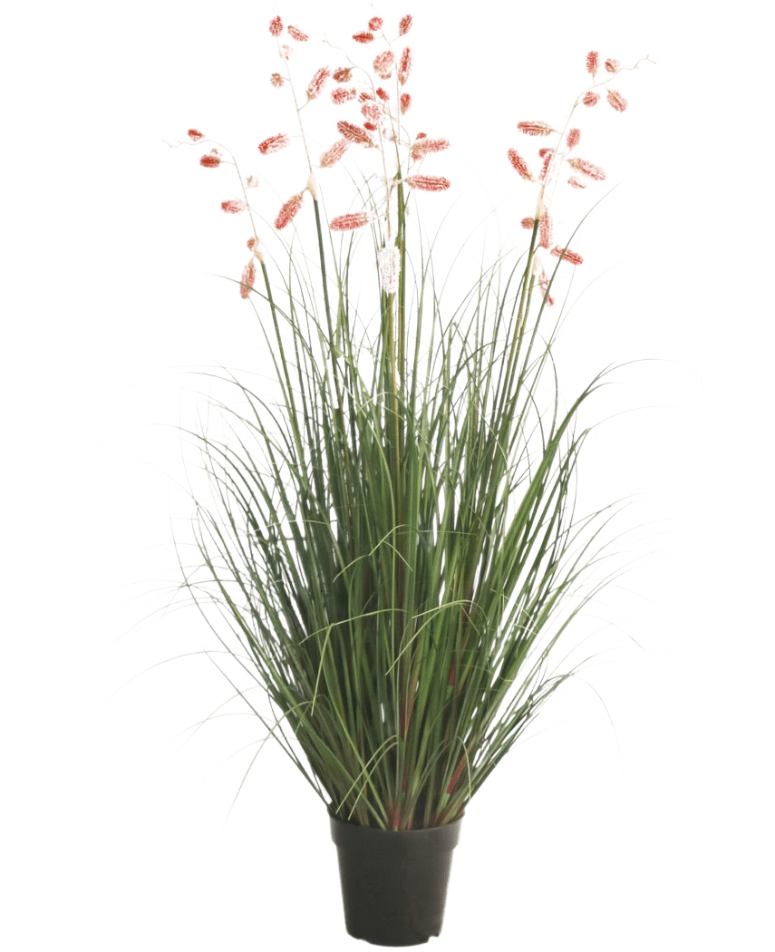 Konstgräsväxten Centipede Grass 120 cm brandskyddsmedel har långa gröna blad och långa, smala stjälkar med rosa plymer, presenterade mot en vit bakgrund.