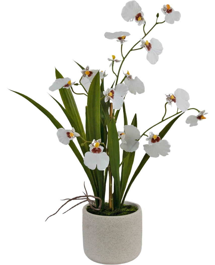 Artificiell Oncidium Real Touch 48 cm vit har verklighetstrogna vita orkidéer med gröna blad, vackert arrangerade i en enkel, rund, ljus keramikkruka.