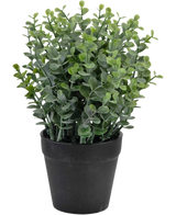 Den konstgjorda växten Pumila 23 cm är en liten grön krukväxt med runda blad i en enkel svart kruka, avbildad mot en vit bakgrund.
