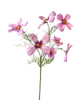 Den konstgjorda blomsterkosmos 74 cm rosa har en enda stjälk med flera ljusrosa kosmosblommor och ömtåliga gröna blad, vackert uppsatt mot en vit bakgrund.