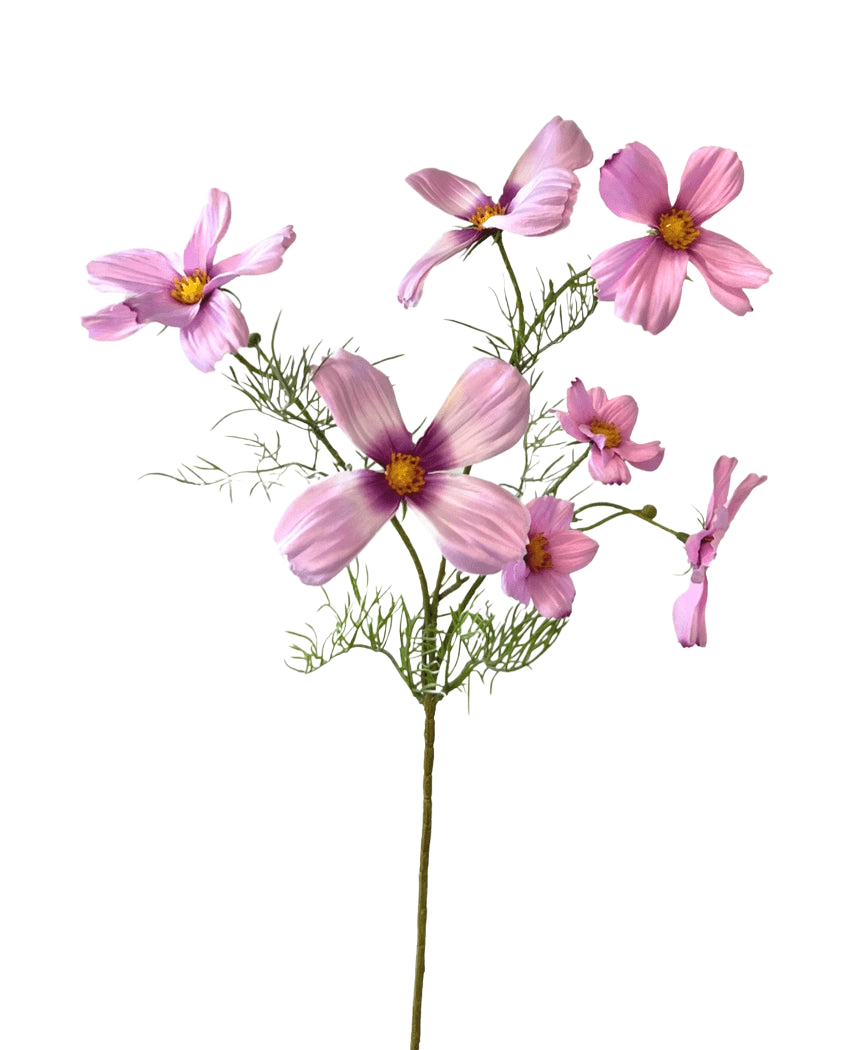 Den konstgjorda blomsterkosmos 74 cm rosa har en enda stjälk med flera ljusrosa kosmosblommor och ömtåliga gröna blad, vackert uppsatt mot en vit bakgrund.