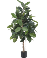 Artificiell gummiväxt 150 cm har breda, glänsande mörkgröna blad och placeras i en liten svart kruka mot en vit bakgrund.
