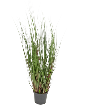 Konstgräsplantan Lök 60 cm brandskyddsmedel är ett prydnadsgräs i kruka med långa, tunna gröna blad och några rödaktiga stjälkar, mot en vanlig vit bakgrund.