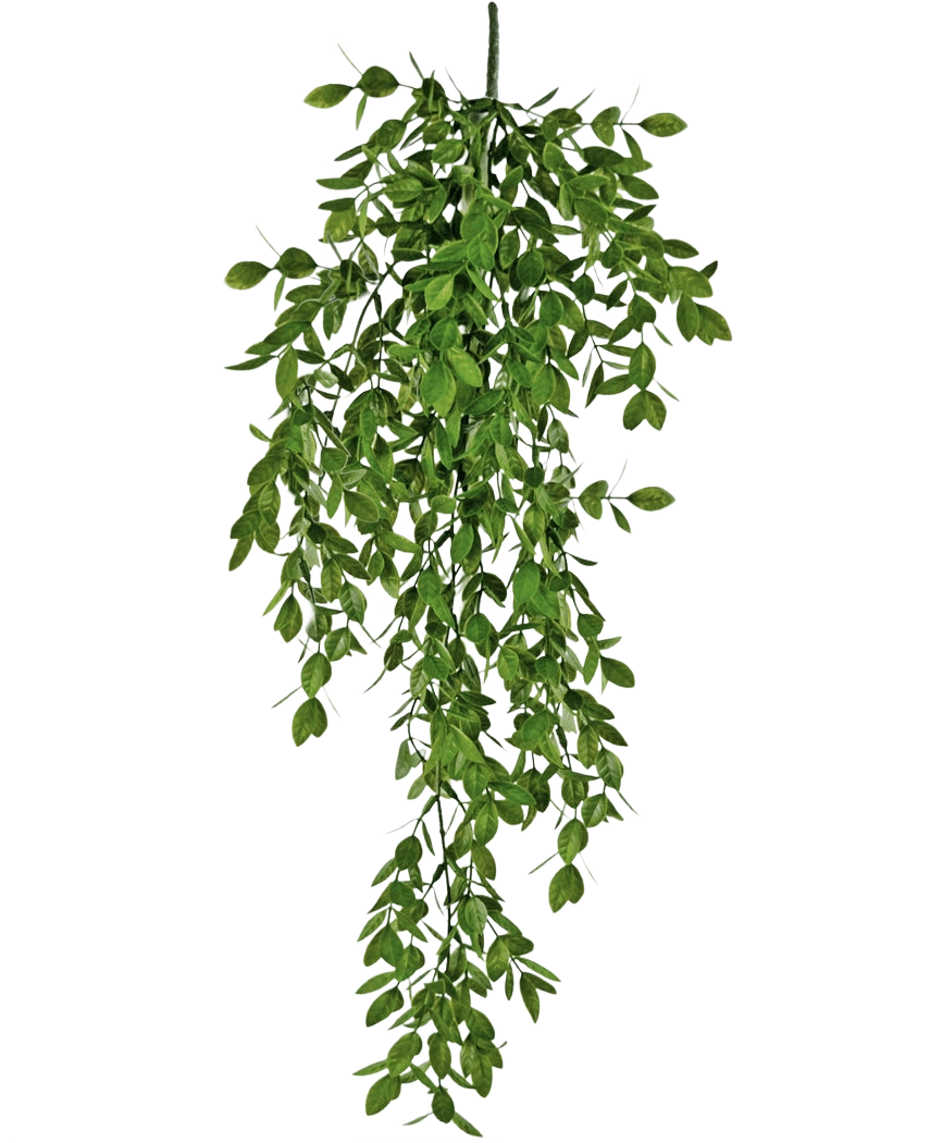 Den konstgjorda hängande växten Jasmin 70 cm har täta klasar av små gröna blad som faller ner naturligt och skapar en frodig, draperande effekt mot en vit bakgrund.