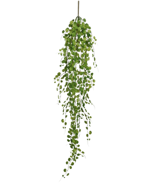 Den konstgjorda hängande växten Pumila 100 cm har en lång slingrande vinstock med små, runda gröna blad som hänger från en enda stjälk, mot en vanlig vit bakgrund.
