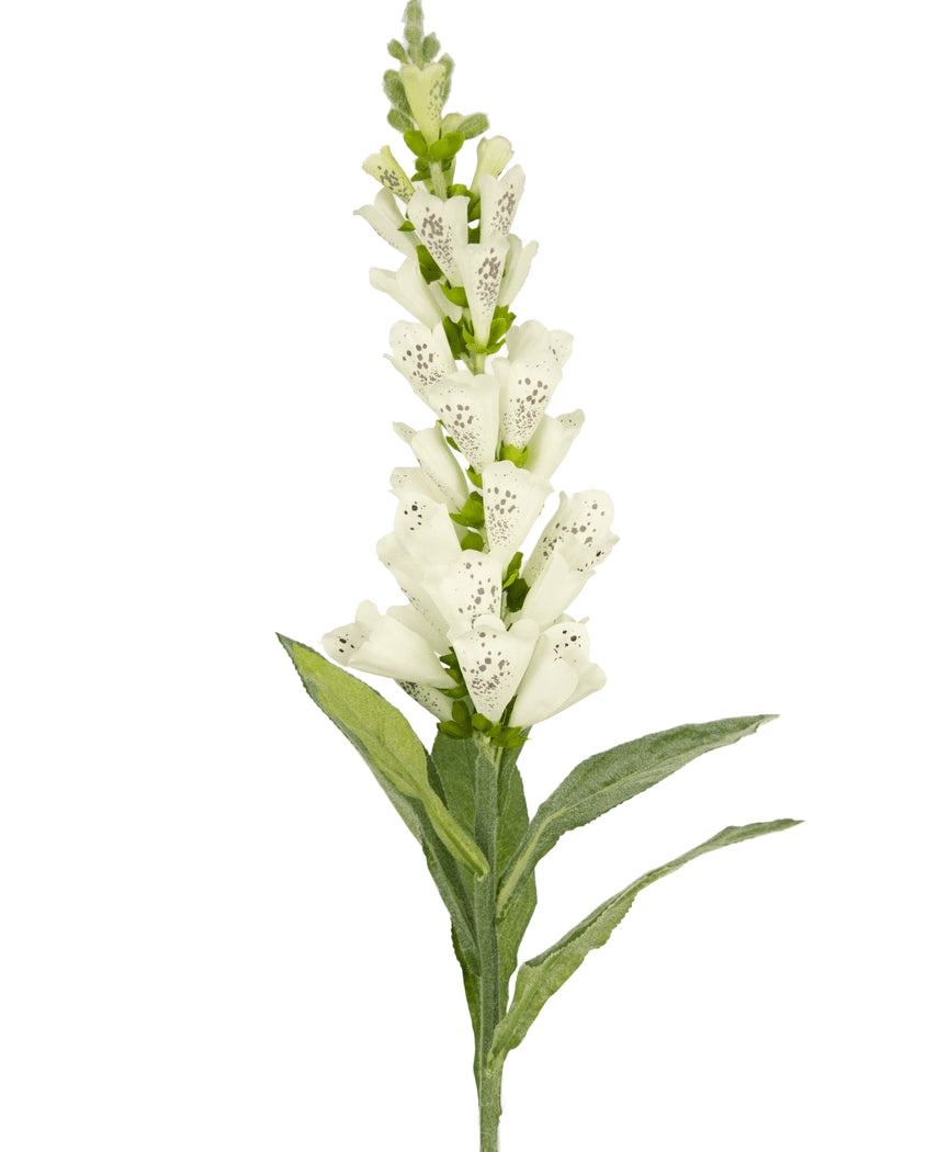 Artificiell blomfotshandske 90 cm vit har gröna blad och vita, fläckiga rörformade blommor - perfekt för lyxig dekoration eller som en slående accent i en konstgjord blombukett.