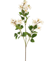 Konstgjorda blomman Lagerstroemia 92 cm vit har en hög stjälk med klasar av små vita blommor och gröna blad, perfekt för att tillföra varaktig skönhet till alla utrymmen. Idealisk som en slående konstgjord växt mot en vanlig vit bakgrund.