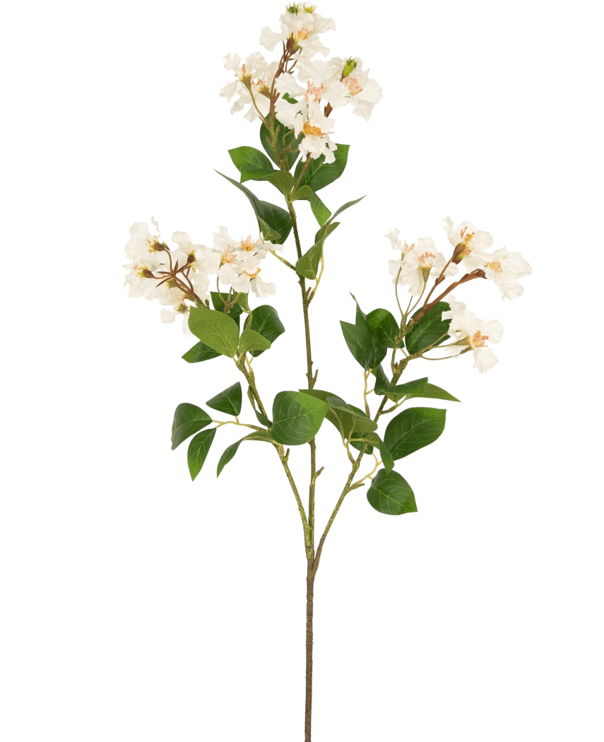 Konstgjorda blomman Lagerstroemia 92 cm vit har en hög stjälk med klasar av små vita blommor och gröna blad, perfekt för att tillföra varaktig skönhet till alla utrymmen. Idealisk som en slående konstgjord växt mot en vanlig vit bakgrund.