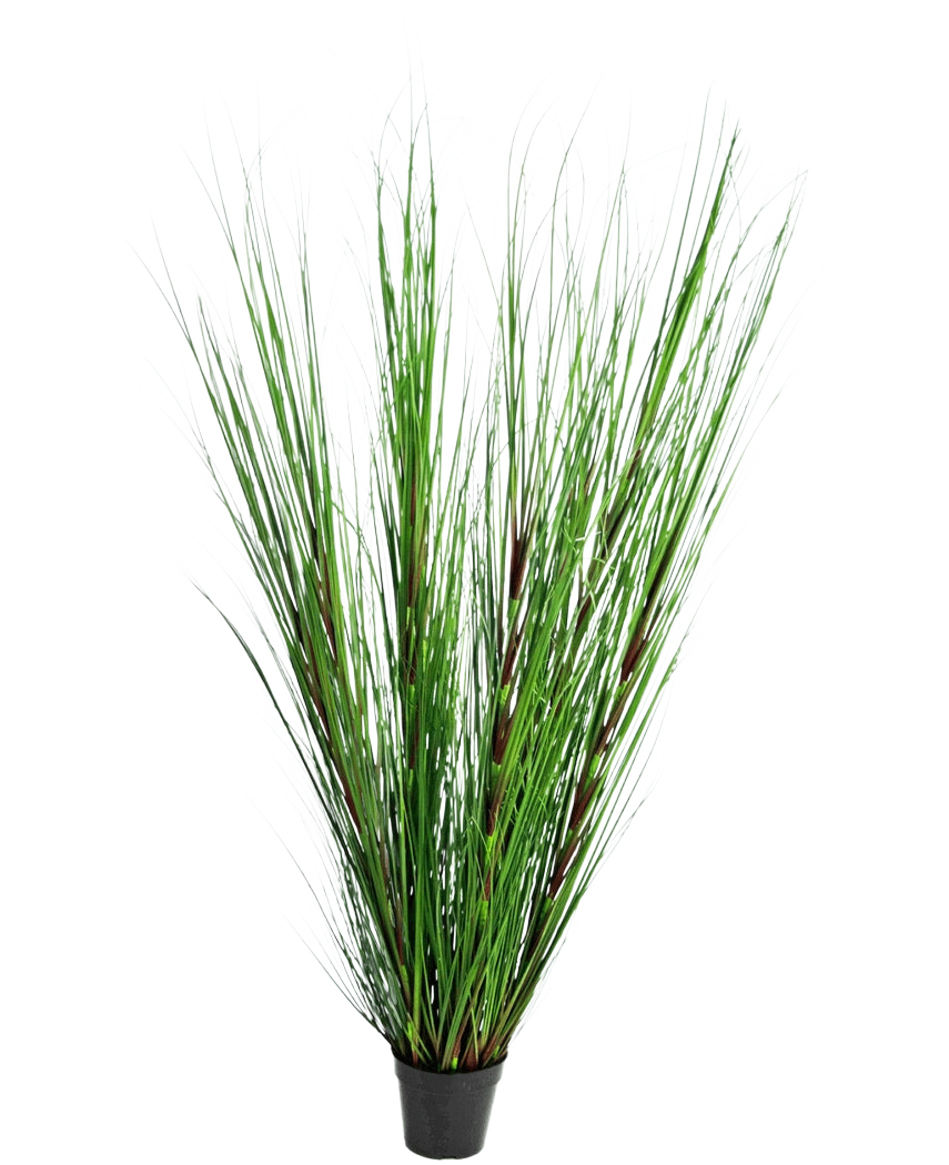 Konstgräsplantan Lök 150 cm brandskyddsmedel har långa, tunna, upprättstående gröna gräsliknande blad och långa stjälkar, mot en vanlig vit bakgrund.