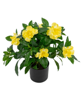 Den konstgjorda växten Gardenia UV 39 cm är en frodig grön konstgjord växt med stora, levande gula blommor och glansiga blad i en svart kruka, mot en vanlig vit bakgrund.