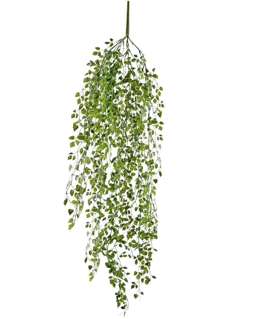 Den konstgjorda hängande växten mini murgröna 91 cm har gröna blad på tunna stjälkar mot en vanlig vit bakgrund.