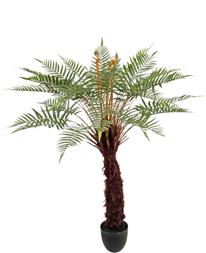 Den konstgjorda växten Dicksonia 127 cm är en hög ormbunke i kruka med en brun strukturerad stam och långa, böjda gröna blad mot en vit bakgrund.