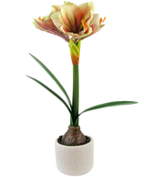 Den konstgjorda blomman Amaryllis Real Touch Röd/Gul 48 cm har naturtrogna gröna blad och en hög stjälk med trumpetformade röda och gula blommor, vackert presenterad mot en vit bakgrund.