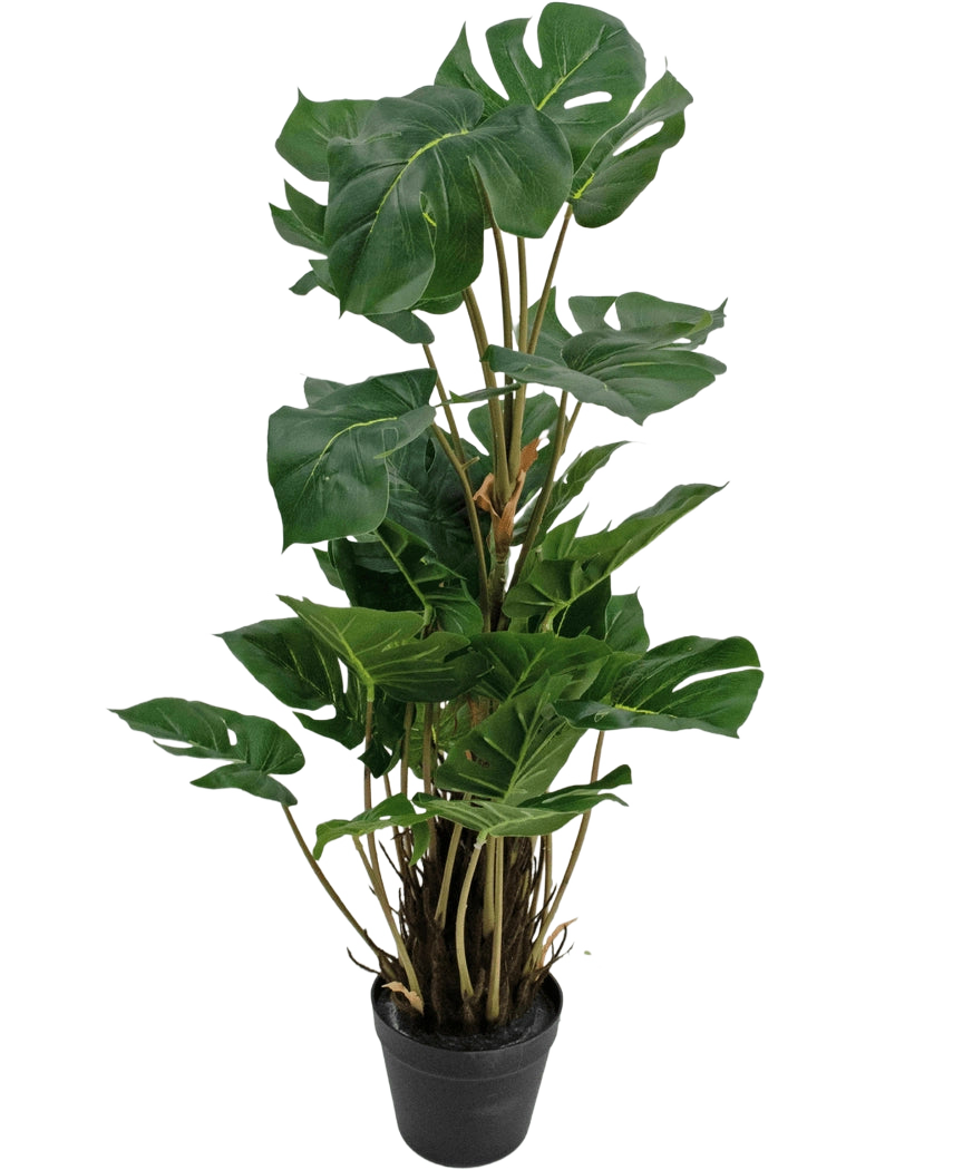 Den konstgjorda växten Monstera 90 cm är en konstgjord växt med stora, glänsande gröna blad med naturliga klyftor, upprätt i en svart kruka mot en vanlig vit bakgrund.