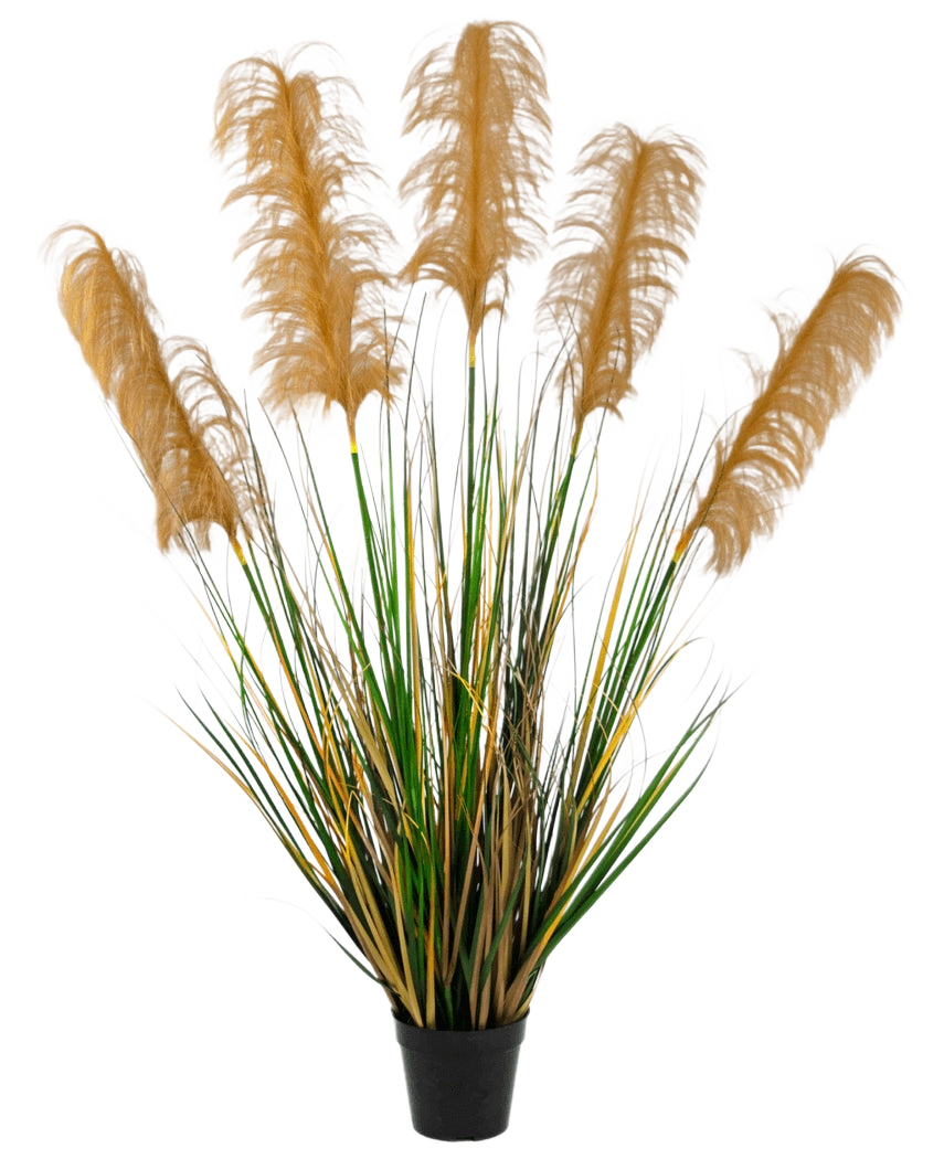 Artificiellt Pampas Grass 120 cm brandskyddsmedel har höga gröna och gula gräsliknande blad med fluffiga bruna plymer. Denna eleganta, brandhämmande konstgjorda växt tillför sofistikering till alla samlingar av falska växter mot en vit bakgrund.