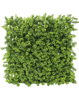 Artificiell Hedge Moss 50x50 cm UV är en tät fyrkantig panel av konstgjorda gröna bladverk med små bladgrenar, avbildad ovanifrån på en vit bakgrund.