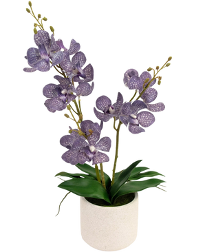 Artificiell Ascocenda 50 cm lila har två stjälkar av lila, spräckliga orkidéblommor med gröna blad i en vit kruka, mot en vanlig vit bakgrund.