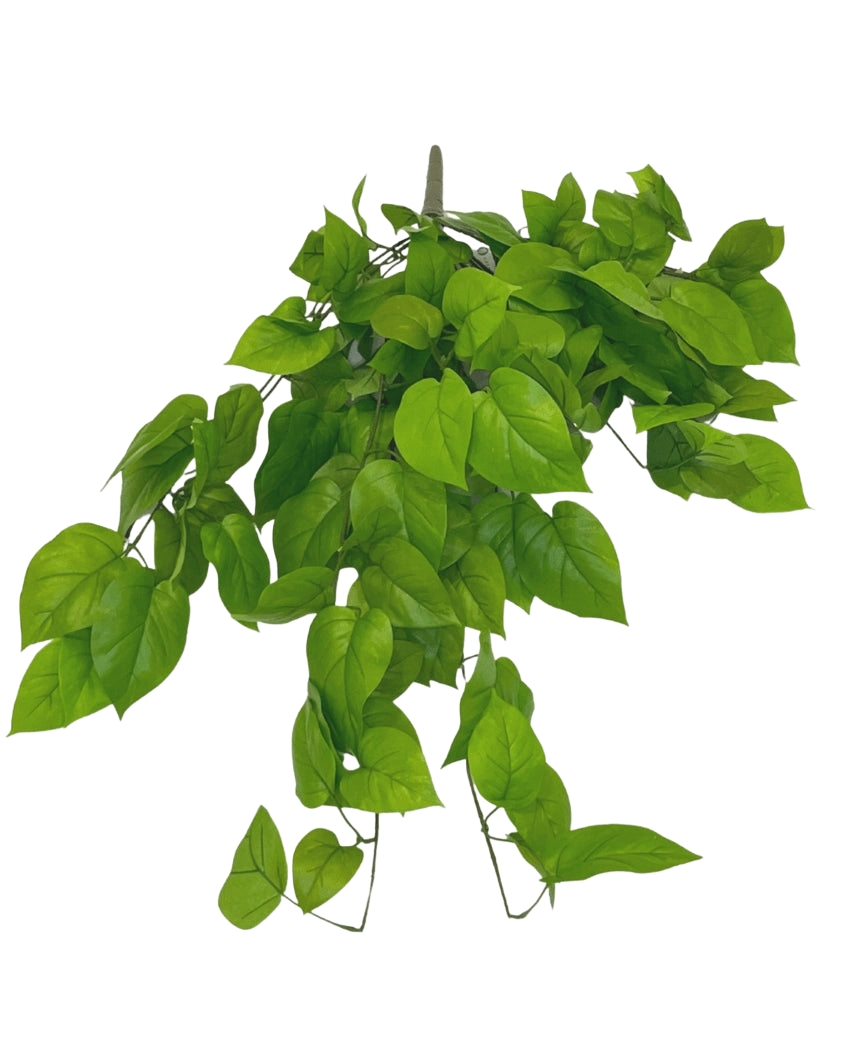Artificiell Pothos-buske Deluxe 90 cm har livfulla gröna, hjärtformade blad på smala stjälkar, mot en vanlig vit bakgrund.