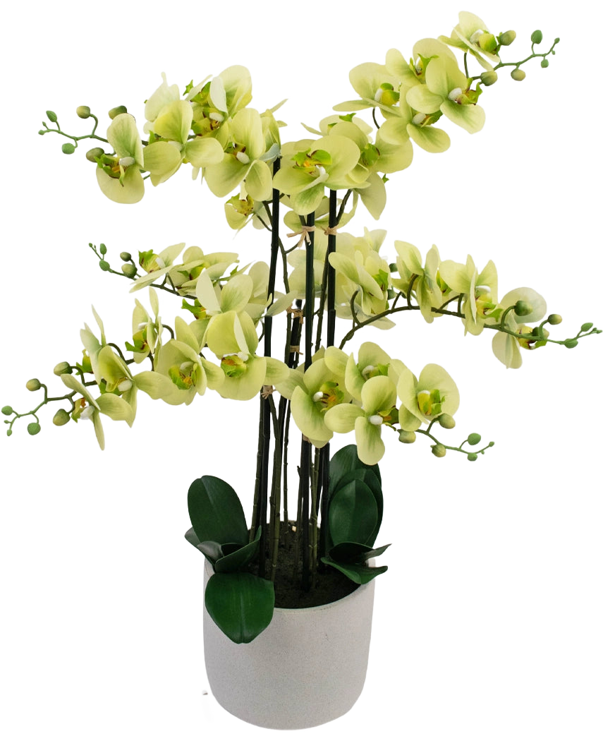 Artificiell orkidé Real Touch 81 cm grön har ljusgröna orkidéblommor med mörkgröna blad i en ljusgrå kruka, mot en vit bakgrund.