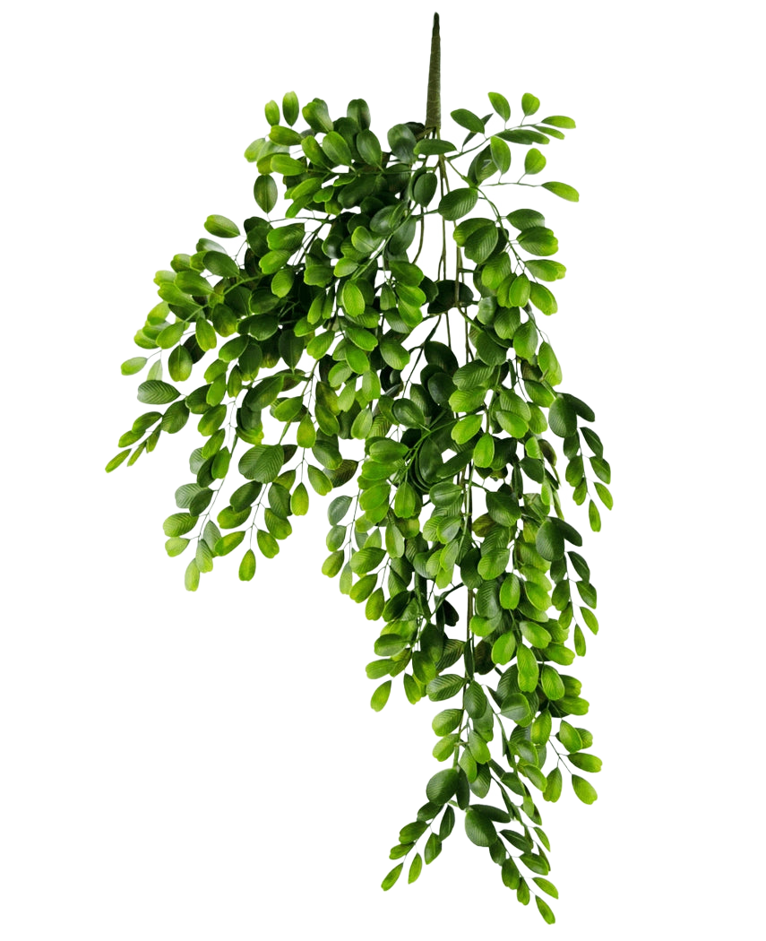 Den konstgjorda hängande växten Pumila 86 cm är en realistisk konstgjord gren med flera stjälkar av små, ljusgröna ovala löv, som verkar frodiga och kaskadande på en vanlig vit bakgrund.