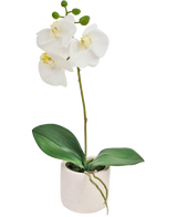 Artificiell Orchid Real Touch 30 cm vit har verklighetstrogna vita orkidéblommor och gröna blad i en liten vit kruka, perfekt för att lägga till elegans till alla utrymmen.