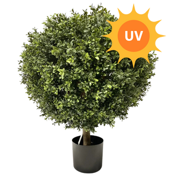 Konstgjord växt Buxus UV