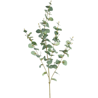 Konst Eukalyptus