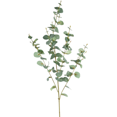 Konst Eukalyptus