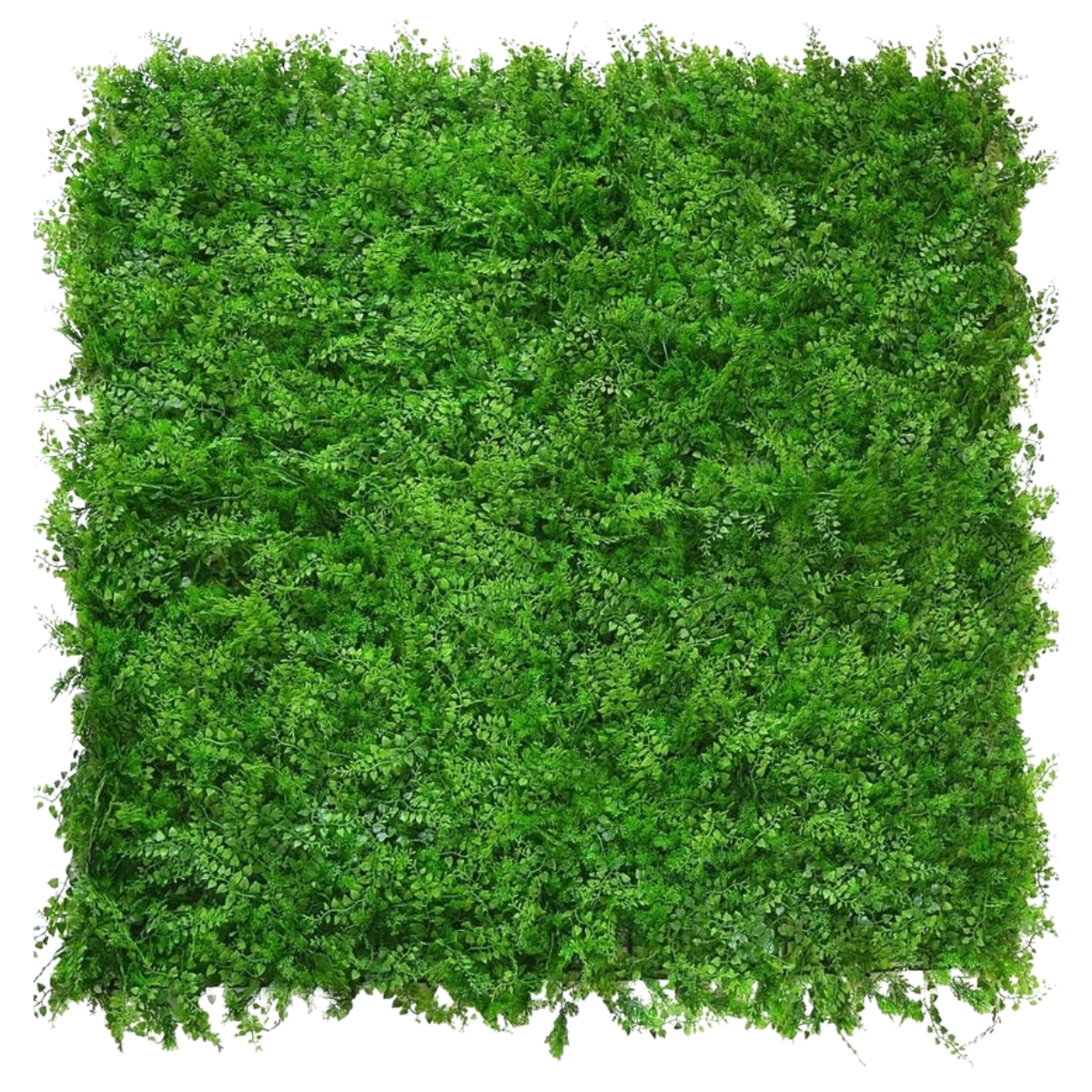 Konstgjord häck Fern