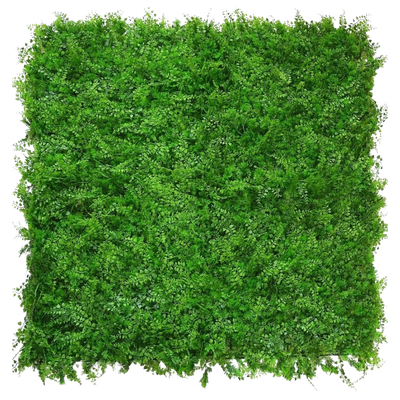 Konstgjord häck Fern