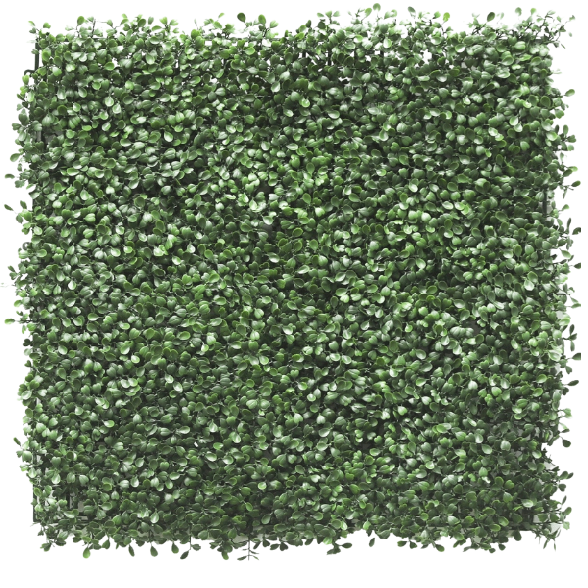 Konstgjord häck Buxus