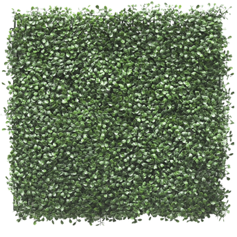 Konstgjord häck Buxus