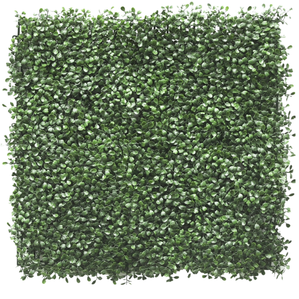 Konstgjord häck Buxus