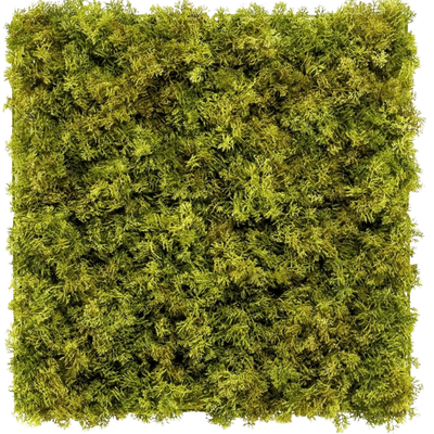 Konstgjord häck Moss