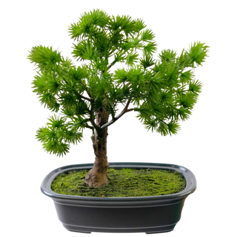 Konstgjort bonsai