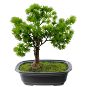 Konstgjort bonsai